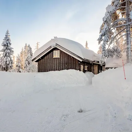 Bjornen - & - Budor - 60 Min Osl 4*